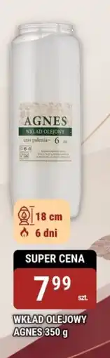 bi1 Wkład Olejowy Agnes oferta