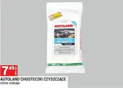 Merkury Market Autoland Chusteczki Czyszczące oferta