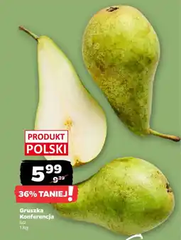 Netto Gruszka Konferencja oferta
