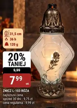 bi1 ZNICZ L-103 RÓŻA oferta
