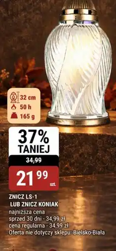 bi1 Znicz LS-1 LUB ZNICZ KONIAK oferta