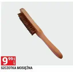 Merkury Market SZCZOTKA MOSIĘŻNA oferta