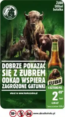 TomiMarkt Żubr oferta