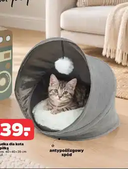Netto Łóżeczka dla kota z piłką oferta