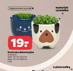 Netto Doniczka dekoracyjna oferta