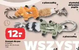 Netto Szarpak dla psa oferta