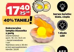 Netto Dekoracyjna Lampka muszelka z perłą oferta