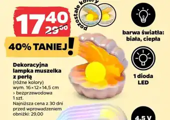 Dekoracyjna Lampka muszelka z perłą