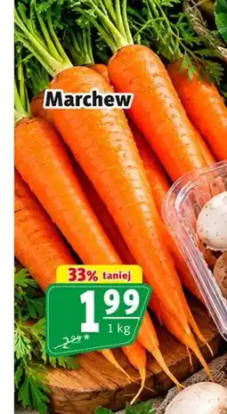 Prim Market Marchew oferta