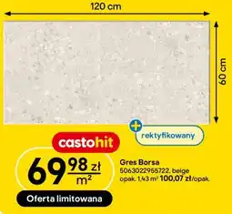Castorama Gres Borsa oferta