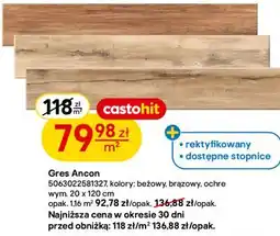 Castorama Gres Ancon 5063022581327 oferta