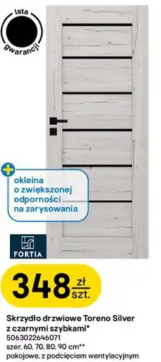 Castorama Skrzydło drzwiowe Toreno Silver z czarnymi szybkami oferta