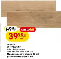 Castorama Gres Ilia 5063022849144 oferta