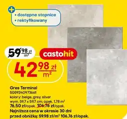 Castorama Gres Terminal 5059340973661 oferta