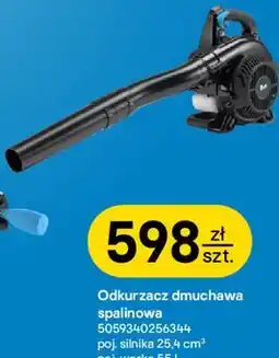 Castorama Odkurzacz dmuchawa spalinowa Mac Allister oferta