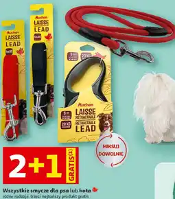 Auchan Wszystkie smycze dla psa lub kota Auchan oferta