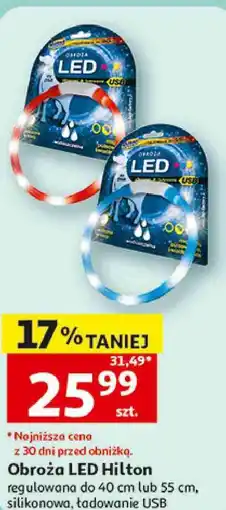 Auchan Obroża LED Hilton oferta