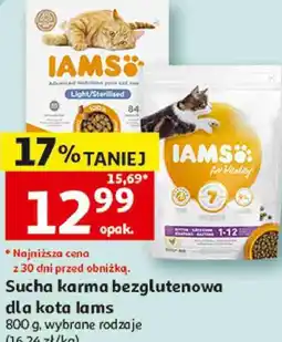 Auchan Sucha karma bezglutenowa dla kota Iams oferta