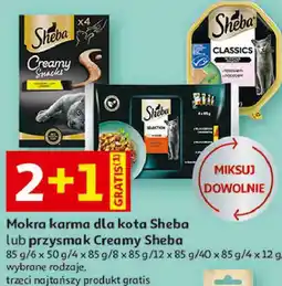 Auchan Mokra karma dla kota Sheba lub przysmak Creamy Sheba oferta