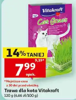 Auchan Trawa dla kota Vitakraft oferta