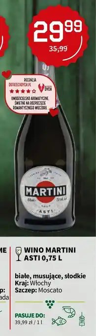 Duży Ben Wino Martini Asti 750ml oferta