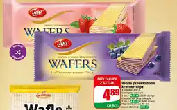 Dino Wafle Iga oferta