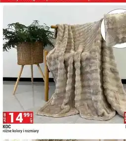 Merkury Market Koc oferta