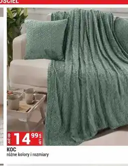 Merkury Market Koc oferta
