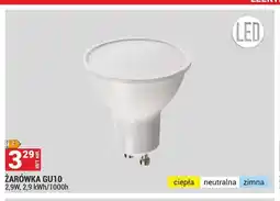 Merkury Market Żarówka GU10 oferta