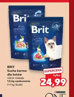 Kaufland Karma dla kota Brit oferta