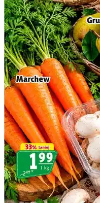 Prim Market Marchew oferta