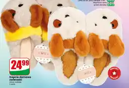 Dino Kapcie oferta
