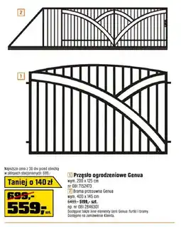 OBI Przęsło ogrodzeniowe Genua oferta