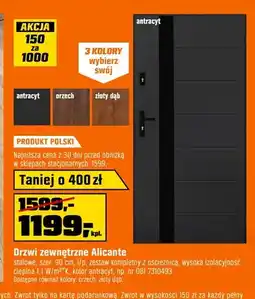 OBI Drzwi zewnętrzne Alicante oferta