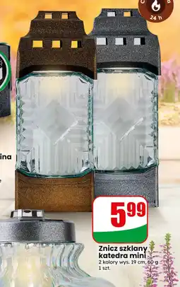 Dino Znicz oferta