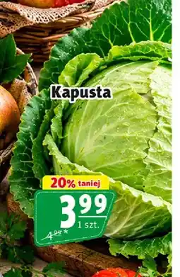 Prim Market Kapusta oferta
