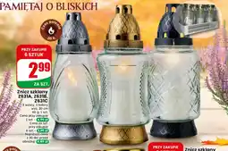 Dino Znicz oferta