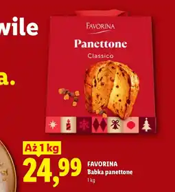 Lidl Babka Favorina oferta