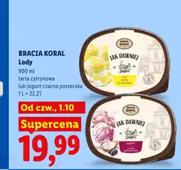 Lidl Lody Bracia Koral oferta