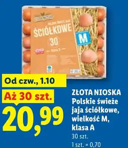 Lidl Jaja Złota nioska oferta