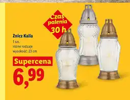 Lidl Znicz oferta