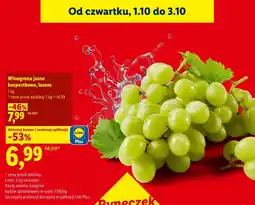 Lidl Winogrona oferta