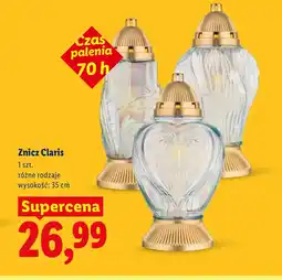Lidl Znicz OH! oferta