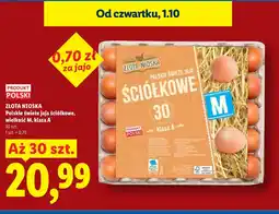 Lidl Jaja Złota nioska oferta