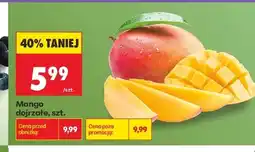 Biedronka Mango oferta
