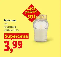 Lidl Znicz Luna oferta
