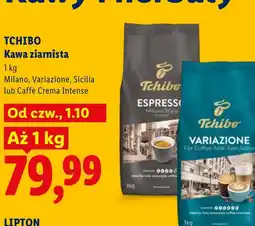 Lidl Kawa ziarnista Tchibo oferta