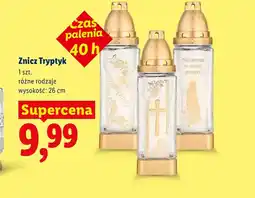 Lidl Znicz oferta