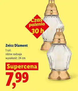 Lidl Znicz Diament oferta