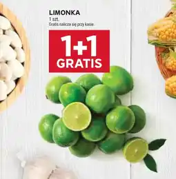 Stokrotka Limonka oferta